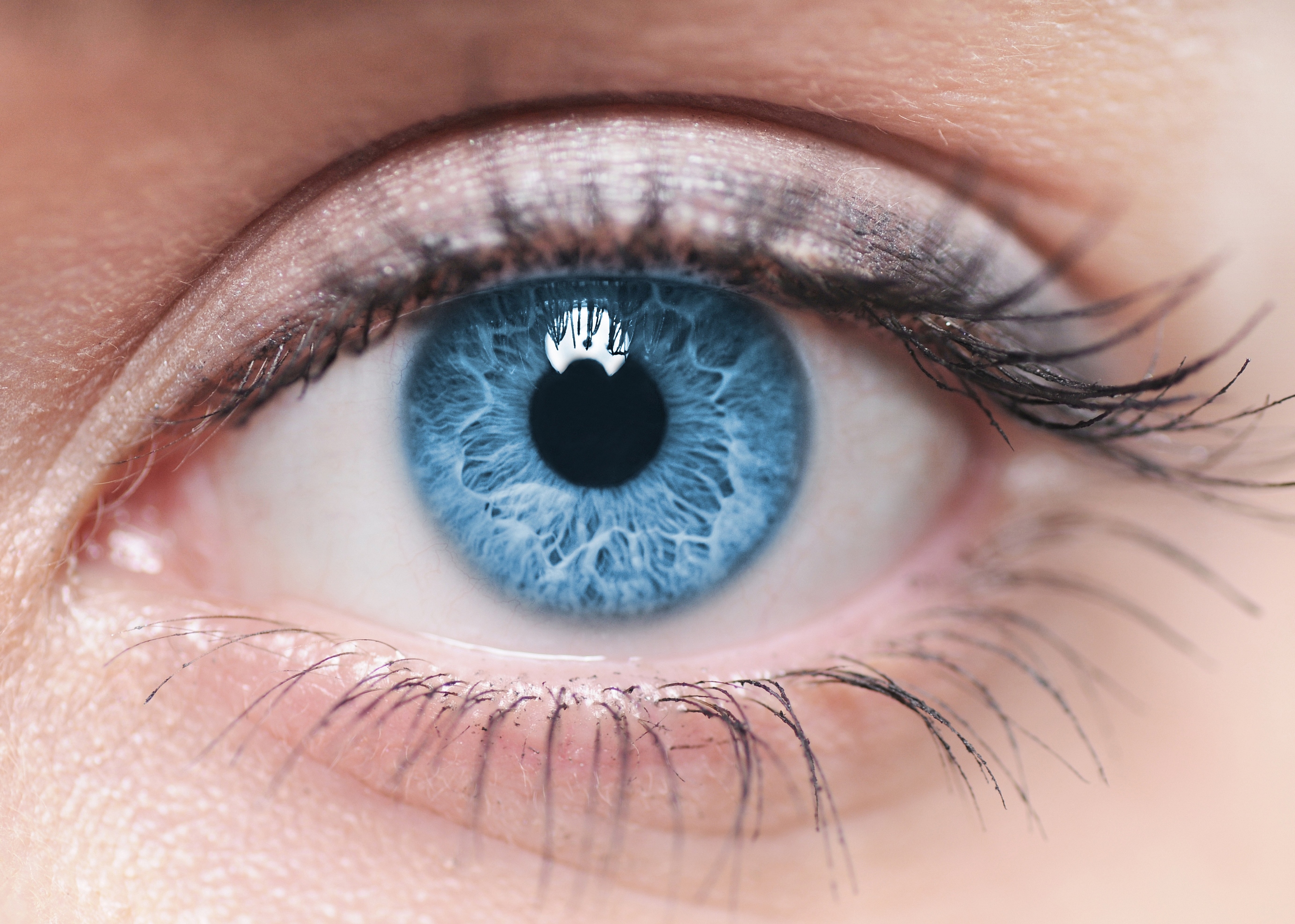 Ochi organ de vedere. Ochiul uman si vederea - Blog de optica medicala | falcontravel.ro