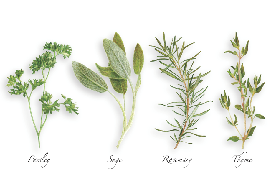 We The Italians Parsley, Sage, Rosemary, and Thyme